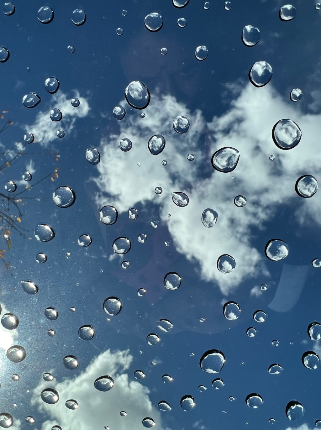 Dichotomy Between Worlds